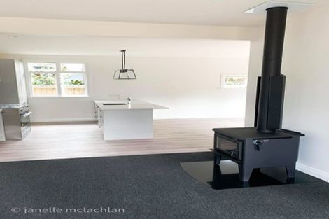 Photo of property in 115 Petrie Street, Richmond, Christchurch, 8013