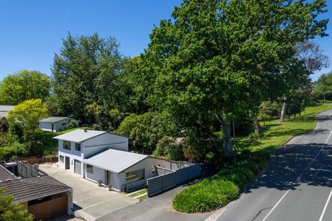 Photo of property in 1/35 Van Diemen Street, Nelson South, Nelson, 7010