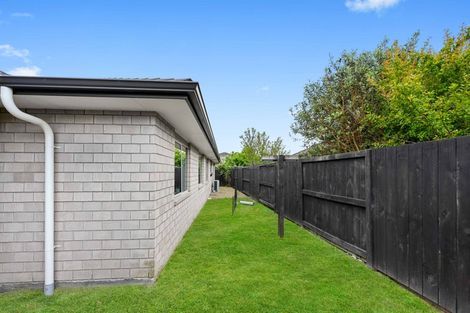 Photo of property in 20 Trauzer Place, Flagstaff, Hamilton, 3210