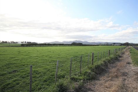Photo of property in 144 Ford Road, Waihi, 3682