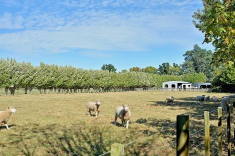 Photo of property in 221 Upper Manaia Road, Upper Plain, Masterton, 5888