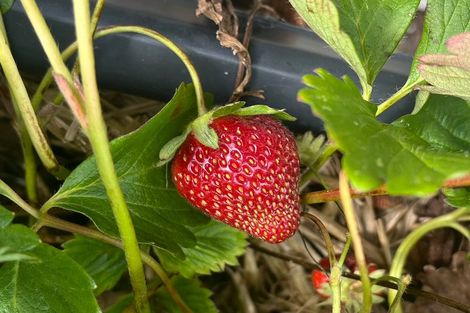 Photo of property in 150 Tilley Road, Paekakariki, 5034