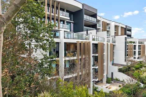 Photo of property in 305/8 Kingsland Terrace, Kingsland, Auckland, 1021