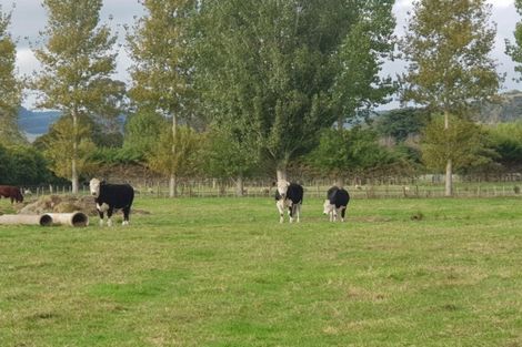 Photo of property in 52 Delhi Avenue, Aramoho, Whanganui, 4500