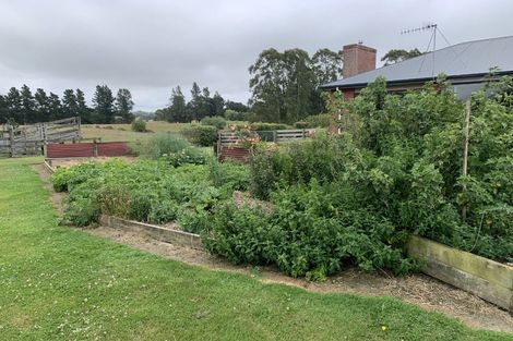 Photo of property in 125 Hadlow Road, Claremont, Timaru, 7974