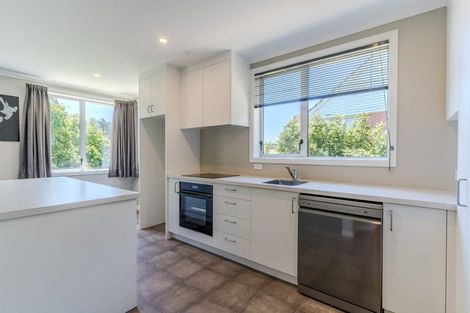 Photo of property in 20 Panmure Avenue, Calton Hill, Dunedin, 9012