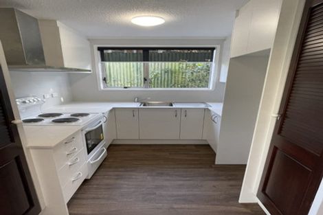 Photo of property in 57 Tripoli Road, Panmure, Auckland, 1072