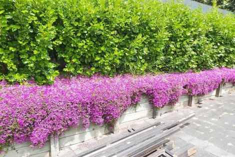 Photo of property in 40 Waimumu Road, Massey, Auckland, 0614