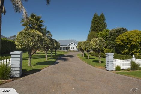 Photo of property in 45 Bradley Avenue, Pyes Pa, Tauranga, 3112