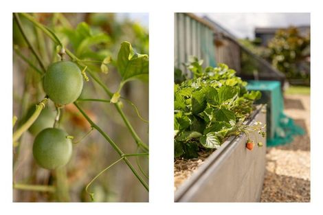 Photo of property in 19 Stingray Drive, Omokoroa, 3114