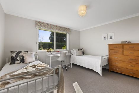 Photo of property in 166a Pukemapu Road, Oropi, Tauranga, 3173