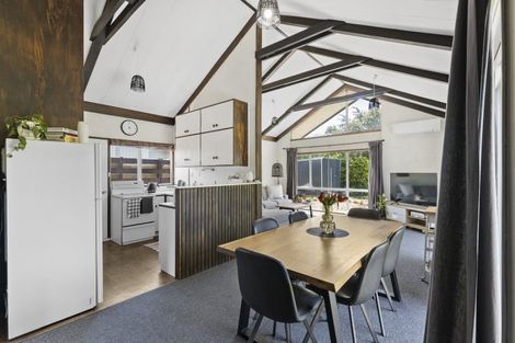 Photo of property in 17 Opawa Place, Terrace End, Palmerston North, 4410