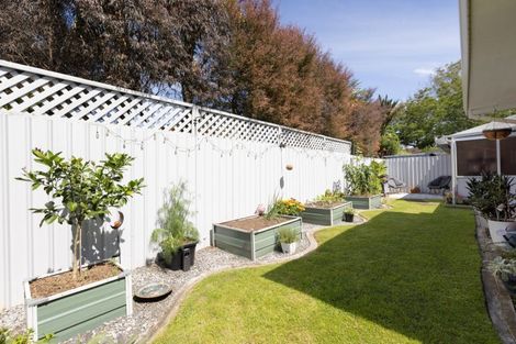 Photo of property in 99b Eighth Avenue, Tauranga, 3110