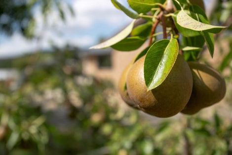 Photo of property in 688 Brunskill Road, Te Miro, Cambridge, 3496