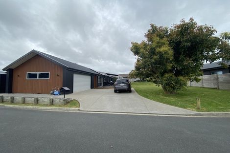 Photo of property in 14 Gabriela Close, Pyes Pa, Tauranga, 3112