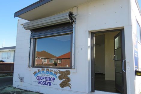 Photo of property in 91 Rangiora Avenue, Roslyn, Palmerston North, 4414