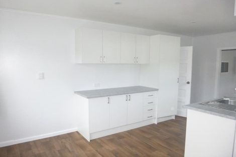 Photo of property in 101 Wilkie Crescent, Naenae, Lower Hutt, 5011