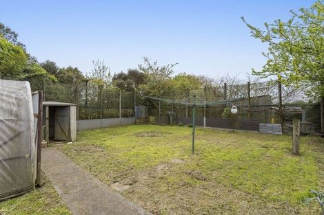 Photo of property in 14 Oberon Street, Stratford, 4332