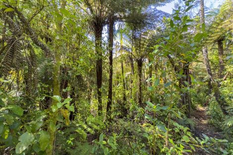 Photo of property in 432c Tapu Coroglen Road, Tapu, Thames, 3575