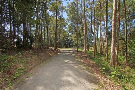 Photo of property in 236 Kahikatea Flat Road, Dairy Flat, Albany, 0794