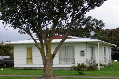 Photo of property in 27 Grenville Street, Levin, 5510