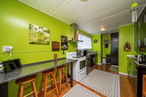 Photo of property in 17 Ajax Street, Stratford, 4332