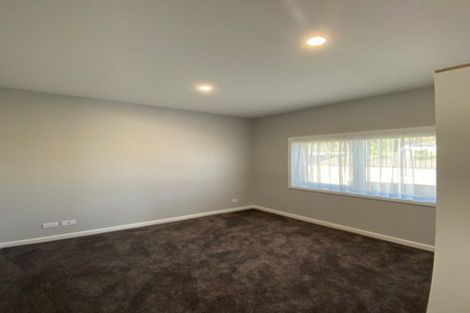 Photo of property in 295 Kitchener Road, Pukekohe, 2120