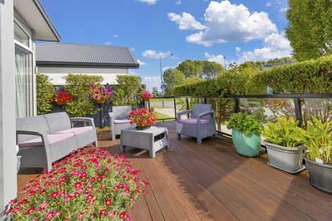 Photo of property in 29 Barnard Street, Kaiapoi, 7630