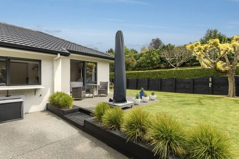 Photo of property in 16 Raukawa Drive, Bethlehem, Tauranga, 3110
