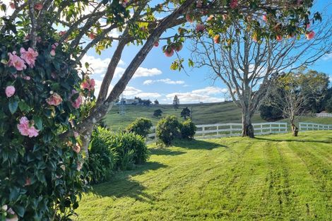 Photo of property in 303 Port Albert Road, Wellsford, 0900