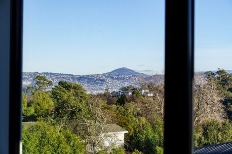 Photo of property in 25 Brugh Place, Andersons Bay, Dunedin, 9013