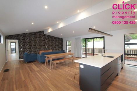 Photo of property in 19 Northumberland Street, North East Valley, Dunedin, 9010