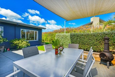 Photo of property in 8 Amner Place, Havelock North, 4130