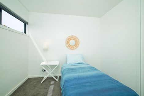 Photo of property in 184c Beach Road, Kaikoura, 7300