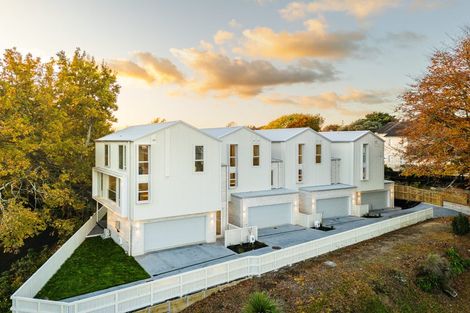 Photo of property in 3/2 Woodstock Road, Fairfield, Hamilton, 3214