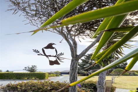 Photo of property in 19 Ocean View Crescent, Rarangi, Blenheim, 7273