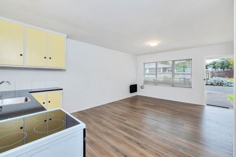 Photo of property in 1/4 Wendell Place, Greenlane, Auckland, 1061
