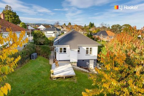 Photo of property in 113 Chapman Street, Wakari, Dunedin, 9010