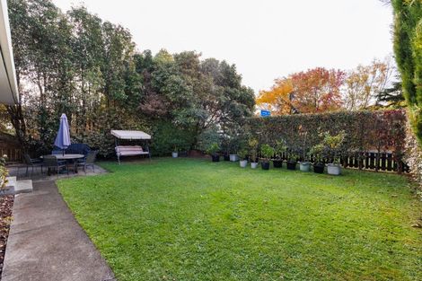 Photo of property in 53 Wyndham Street, Ashhurst, 4810