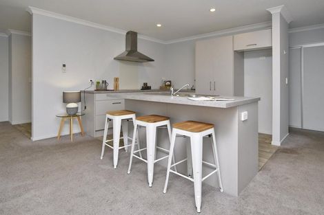 Photo of property in 9 Makawe Roa Street, Marshland, Christchurch, 8083