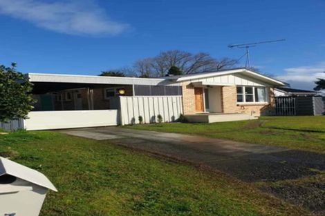 Photo of property in 17 Walker Terrace, Dinsdale, Hamilton, 3204