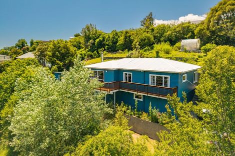 Photo of property in 85 Murphy Street, Toi Toi, Nelson, 7010