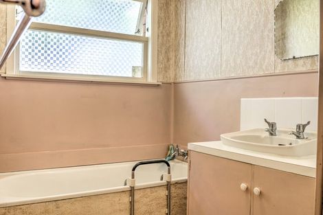 Photo of property in 105 Rimu Street, Maeroa, Hamilton, 3200