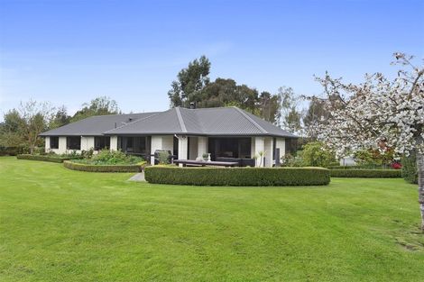 Photo of property in 196 Beatties Road, Ashley, Rangiora, 7477