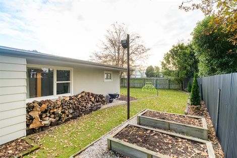 Photo of property in 51 Beattie Street, Feilding, 4702