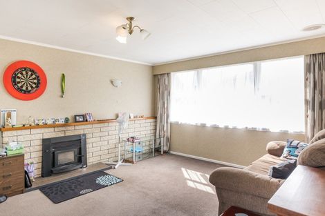 Photo of property in 145 Stanford Street North, Ashhurst, 4810