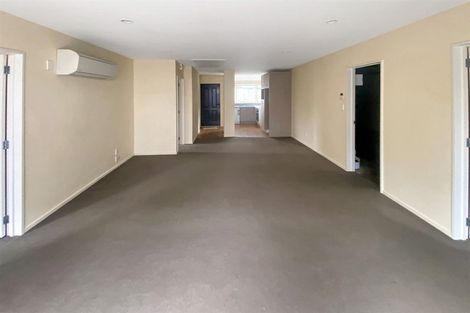 Photo of property in 161 Hastings Street East, Waltham, Christchurch, 8023