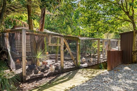 Photo of property in 212 Valley Road, Mangapapa, Gisborne, 4010