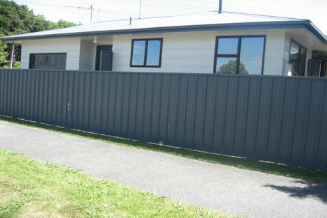 Photo of property in 1 Aorangi Street, Feilding, 4702