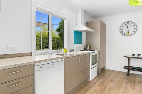 Photo of property in 18 Orient Street, Cromwell, 9310